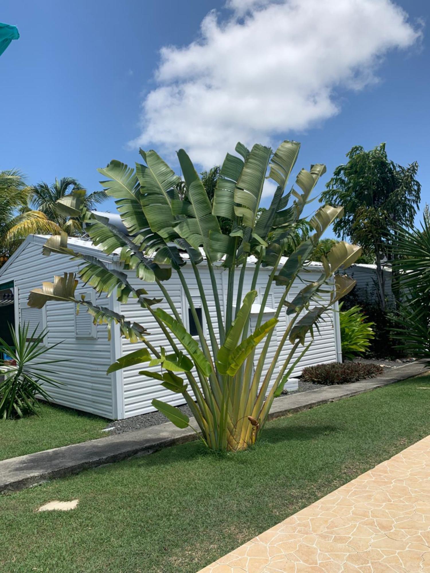 Gite Ty Koko Saint-Francois  Exterior photo