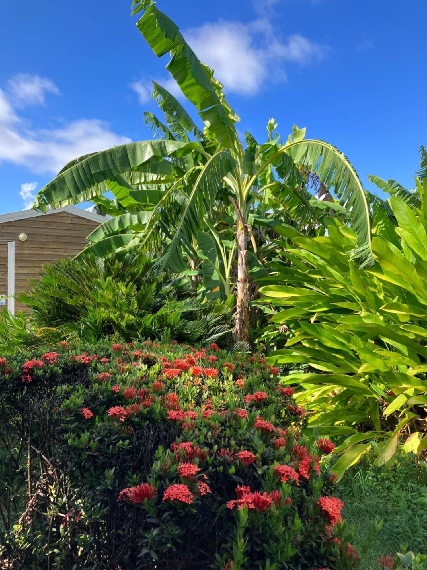 Gite Ty Koko Villa Saint-Francois  Exterior photo